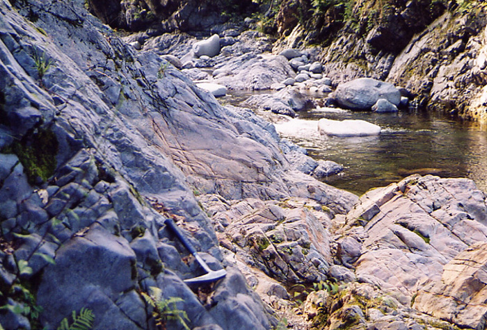 torrente cervo